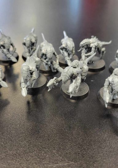 [PRE OWNED] Tyranid Hormagaunt Squad (11)